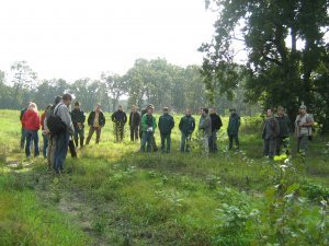 IMG_3535_1 - 